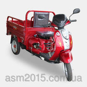 Грузовой мотоцикл SP 110 TR-4